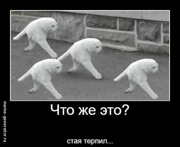 Ты кто?