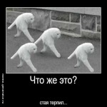 Ты кто?