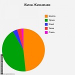 Как Проходит День