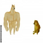 мем buff doge